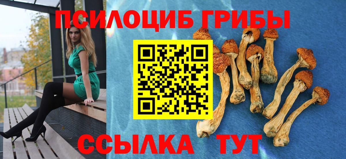 Галлюциногенные грибы GOLDEN TEACHER  Вход с VPN  Чернушка 